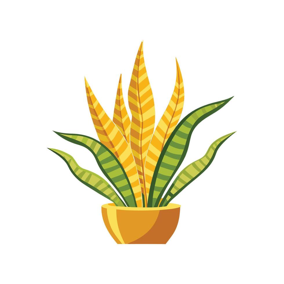 Elegant Golden Snake Plant Design vector