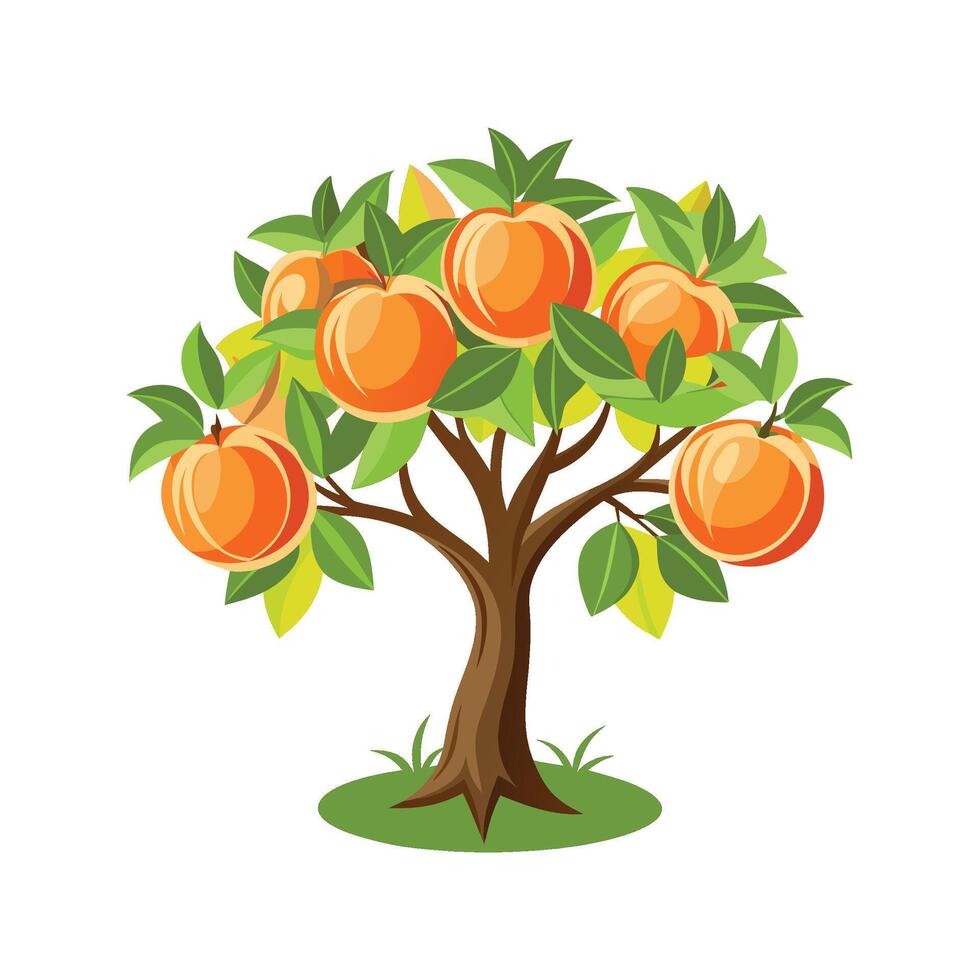 Lovely Grapefruit Tree Design vector