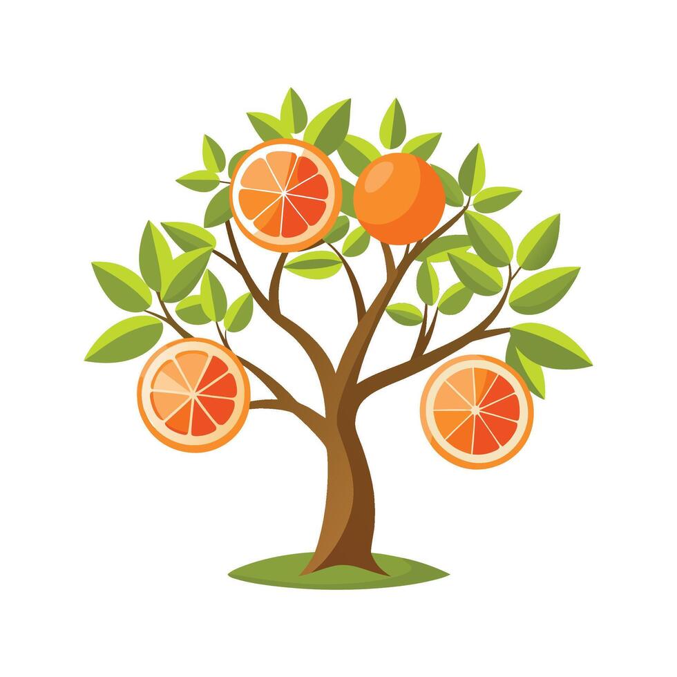 Beautiful Grapefruit Tree Illustration vector