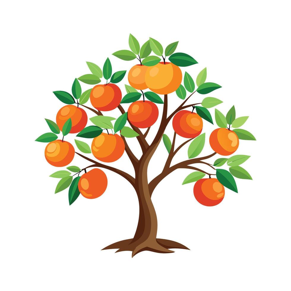 Unique Grapefruit Tree Illustration vector