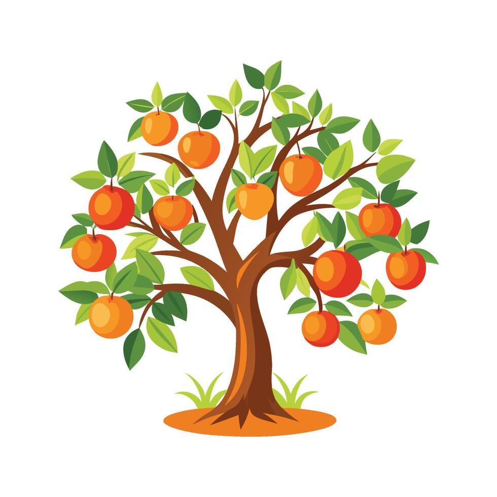 Elegant Grapefruit Tree Artwork vector