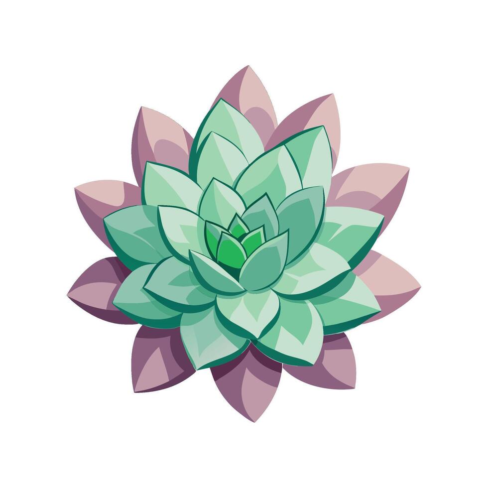 Beautiful Graptopetalum Plant Design vector