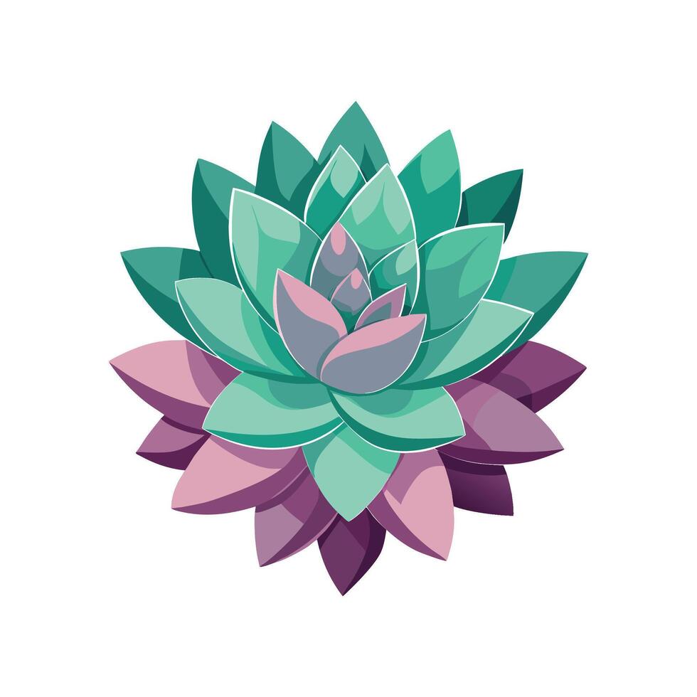 Charming Graptopetalum Plant Artwork vector