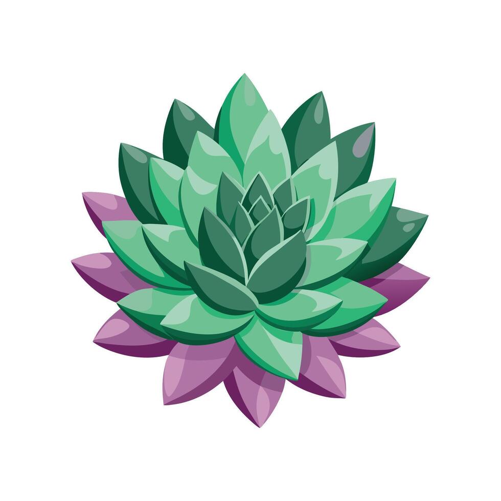 Unique Graptopetalum Flower Design vector