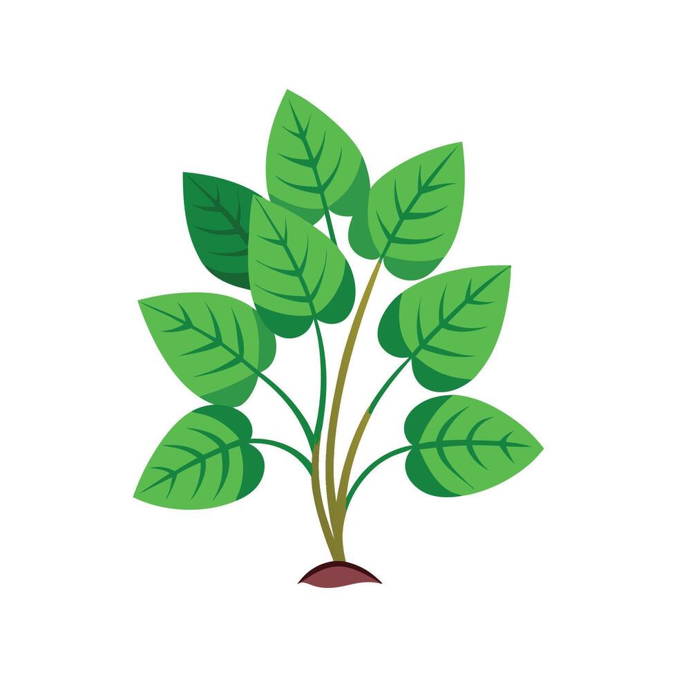 Charming Guinea Plant Design vector