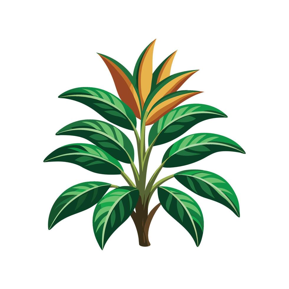 Lovely Hawaiian Ti Plant Artwork vector