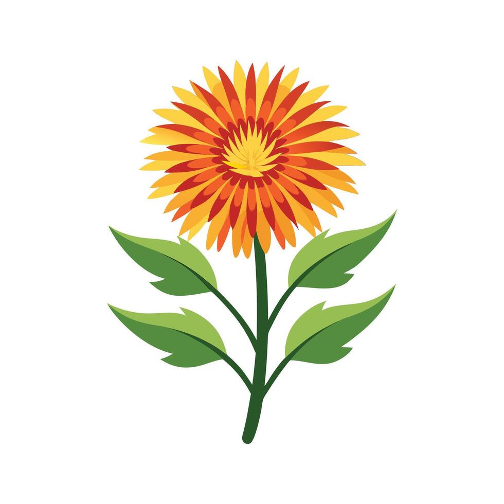 Beautiful Hawkweed Plant Design vector