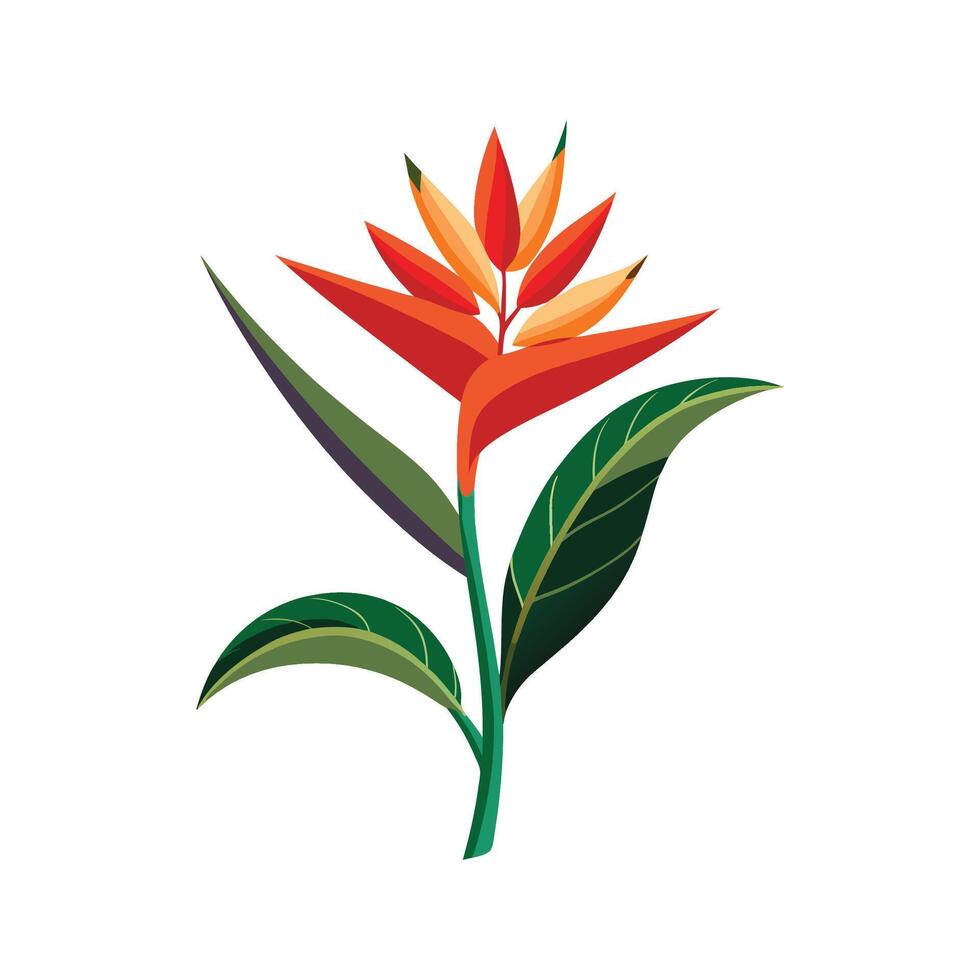 Vibrant Heliconia Plant Artwork vector