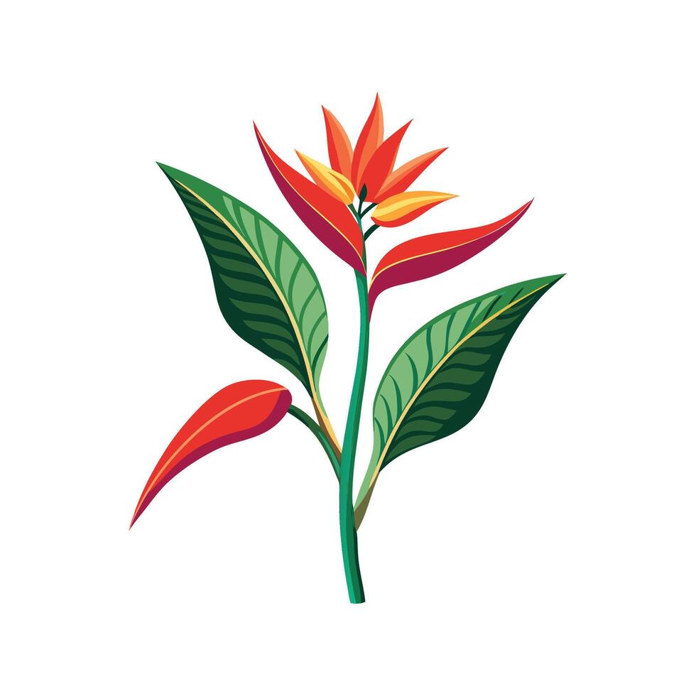 Stunning Heliconia Plant Design vector
