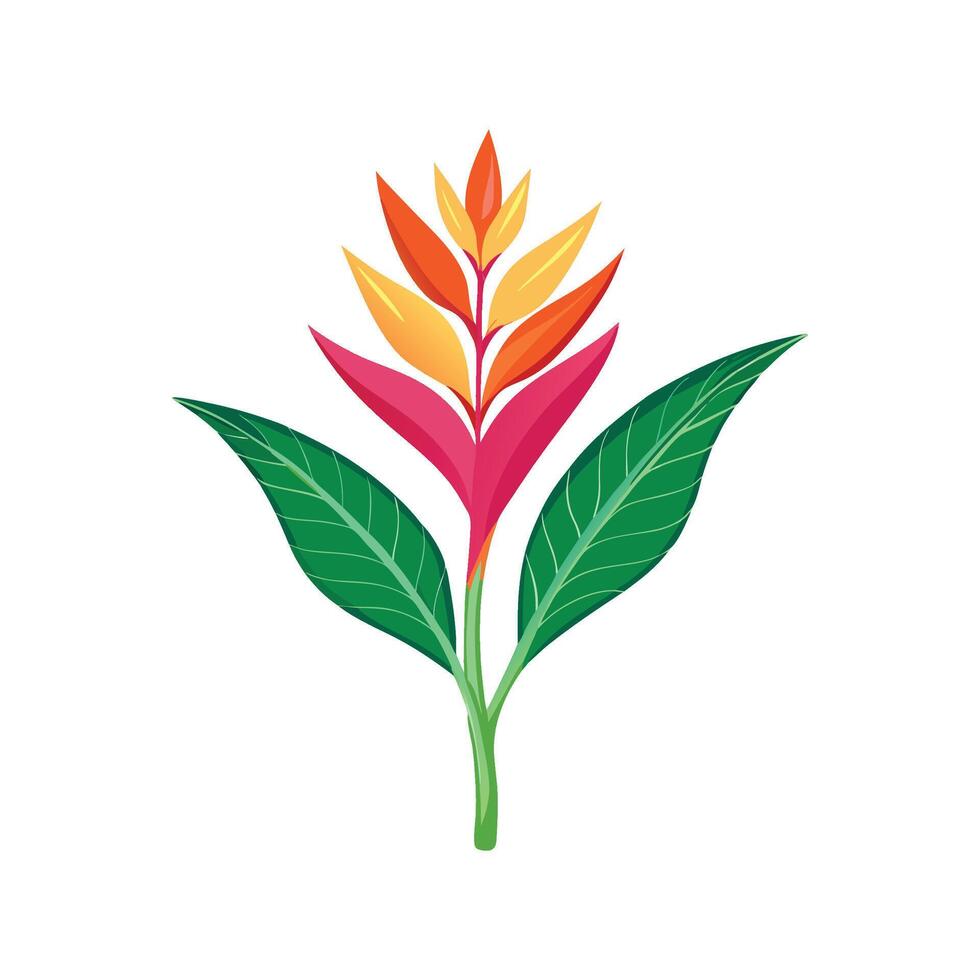 Beautiful Heliconia Artwork vector