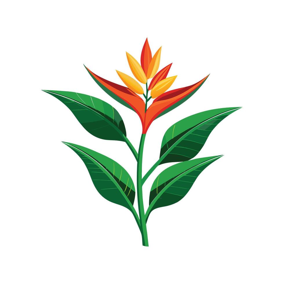 Charming Heliconia Plant Illustration vector