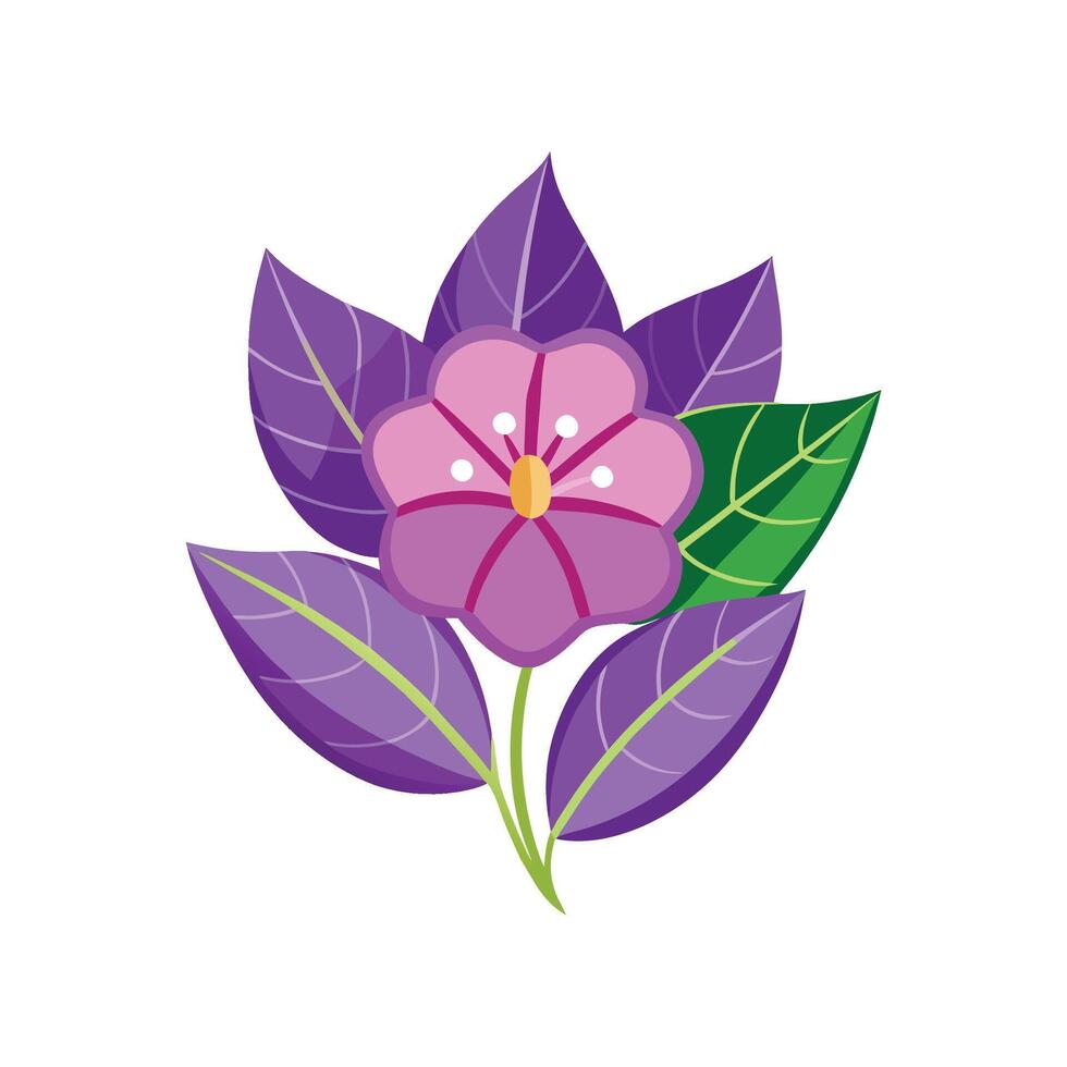 Unique Heliotrope Plant Artwork vector
