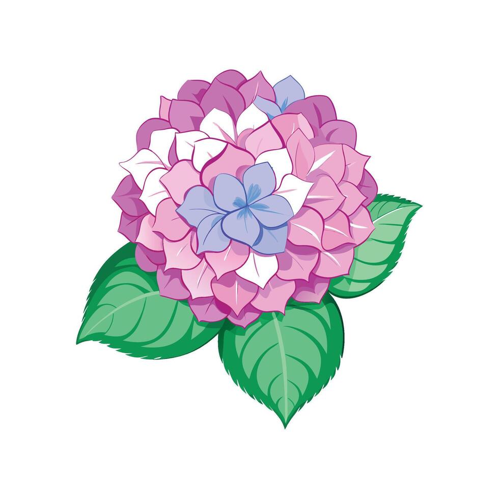 Stunning Hydrangea Flower Design vector