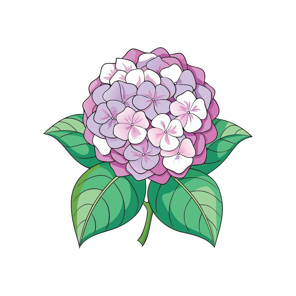 Elegant Hydrangea Flower Design vector