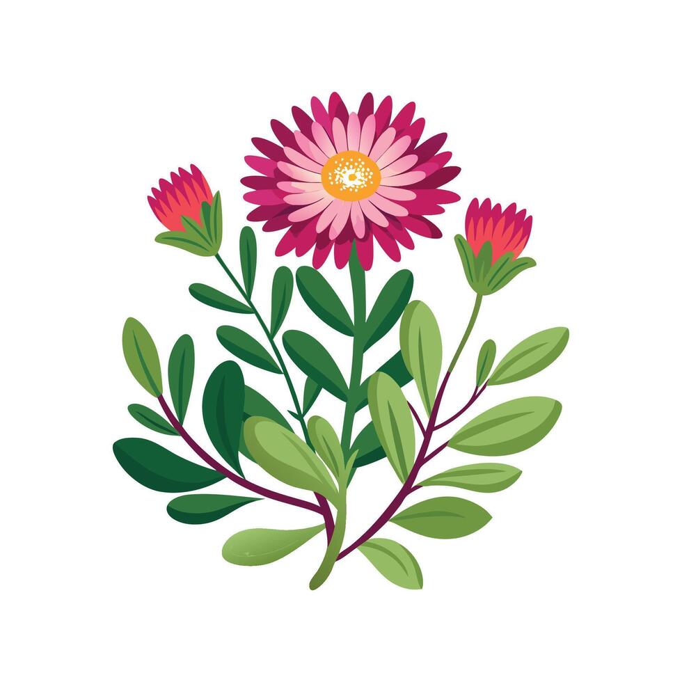 Beautiful Ice Plant Delosperma Design vector