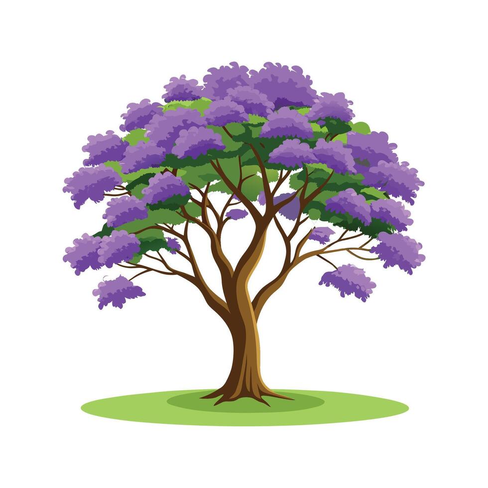 Beautiful Jacaranda Tree Illustration vector