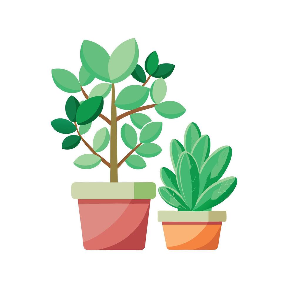 Beautiful Jade Planamint Design vector