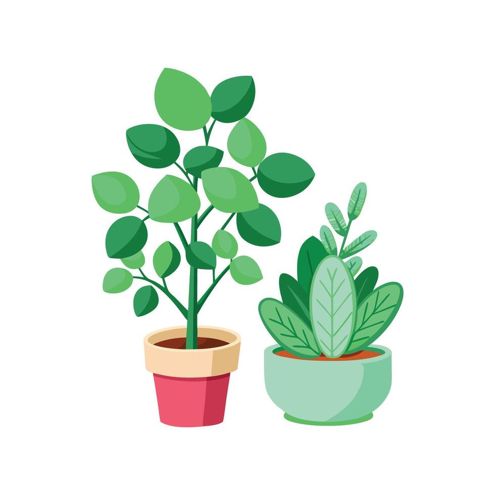 Unique Jade Planamint Plant Artwork vector