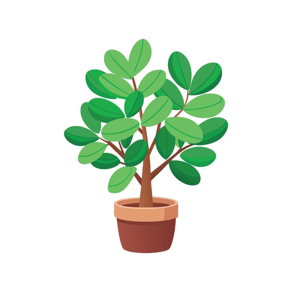 Charming Jade Plant with Colorful Blooms vector