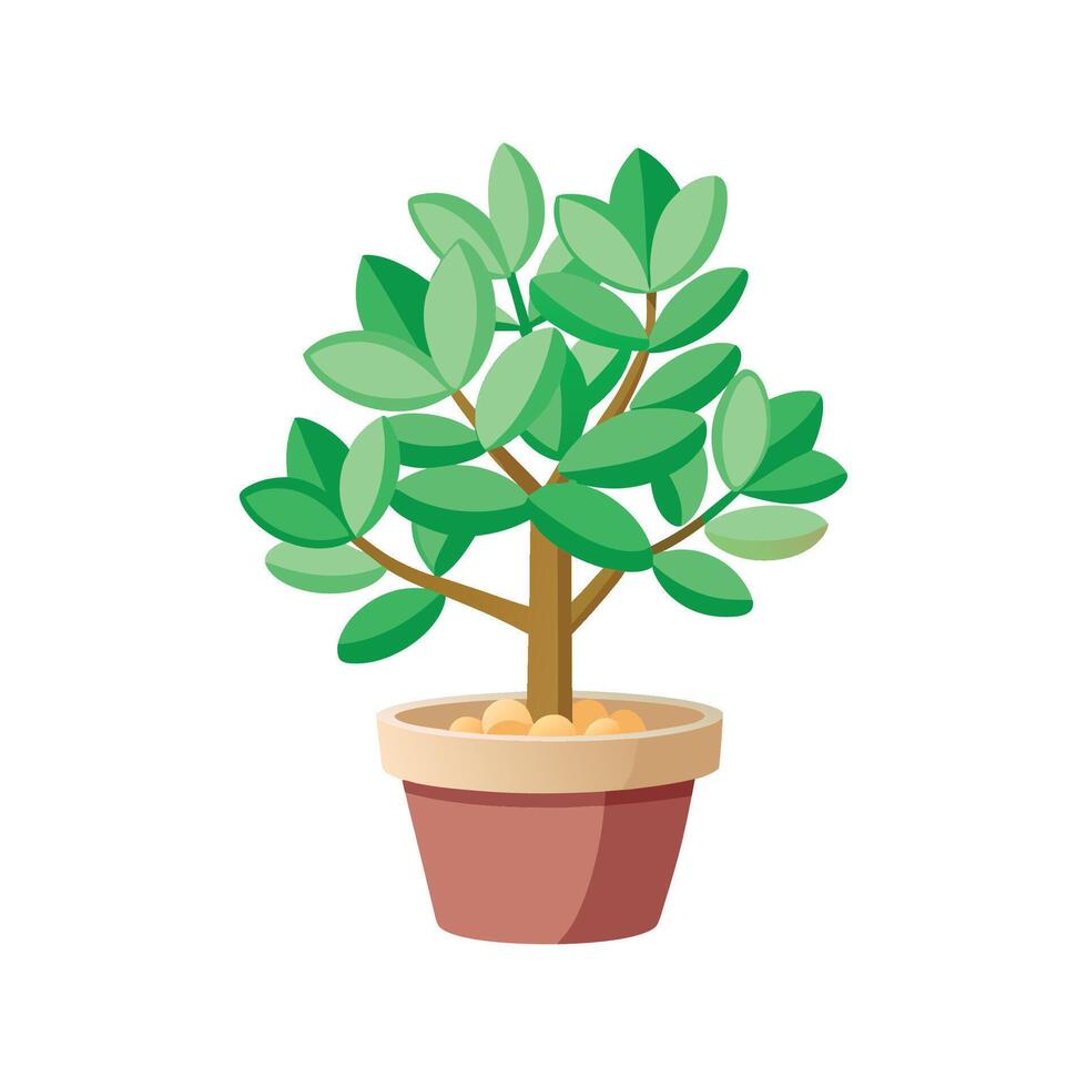 Vibrant Jade Plant Design vector