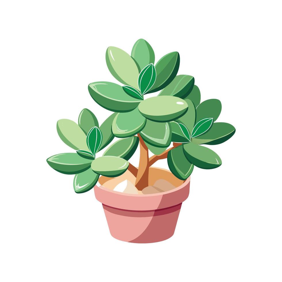 Elegant Jade Plant Artwork vector