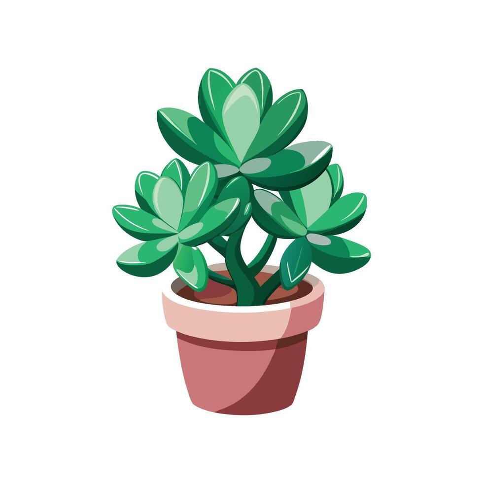 Beautiful Jade Plant Design vector