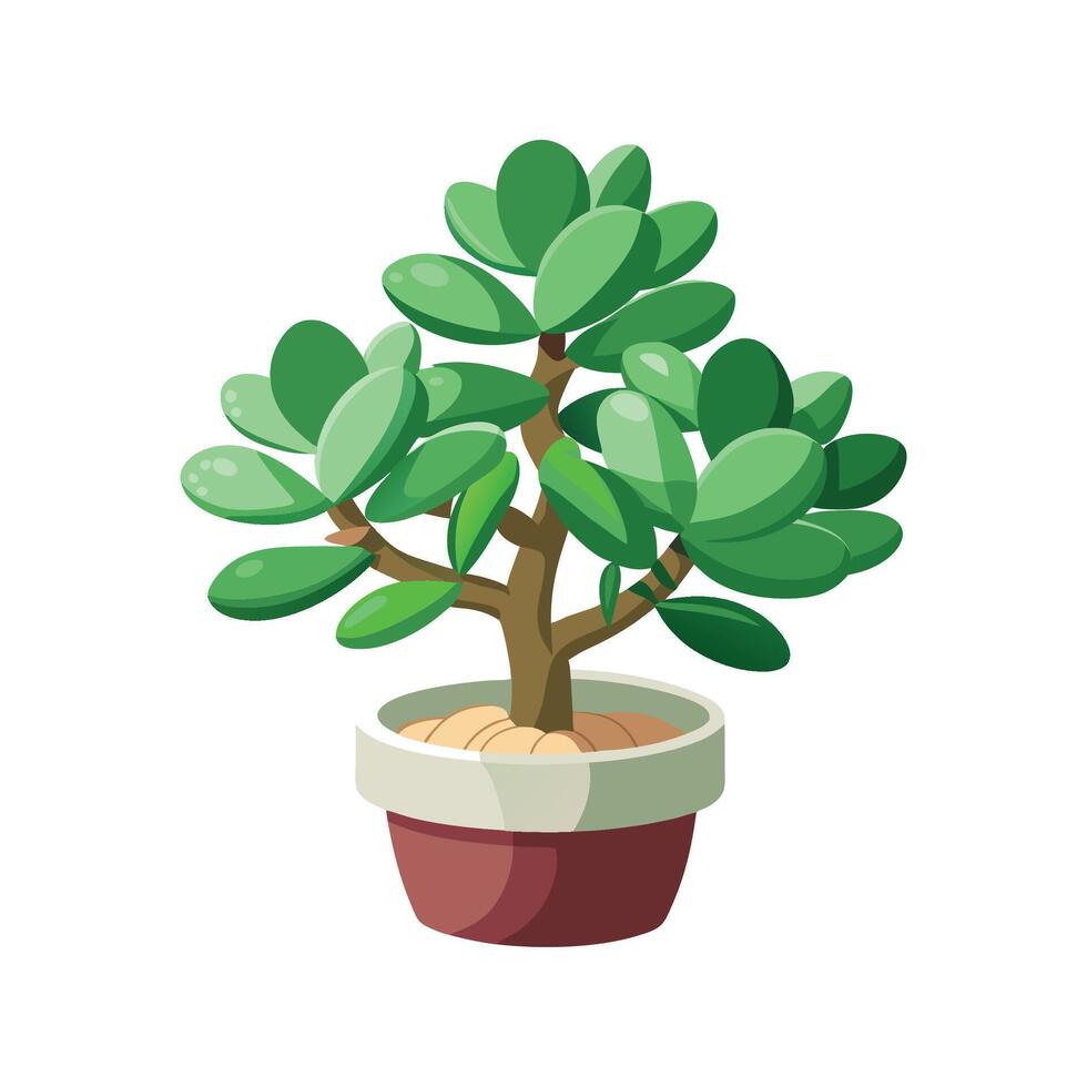 Unique Jade Plant Design vector
