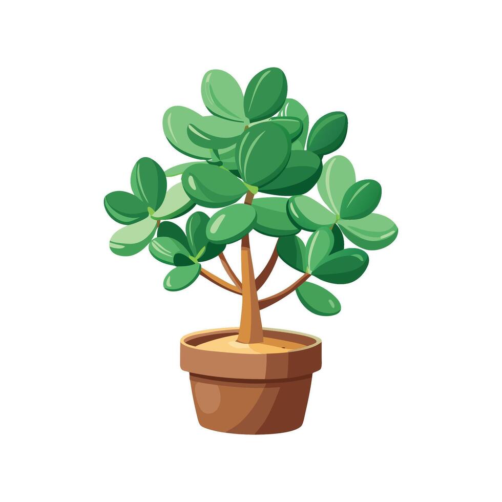 Lovely Jade Plant Design vector