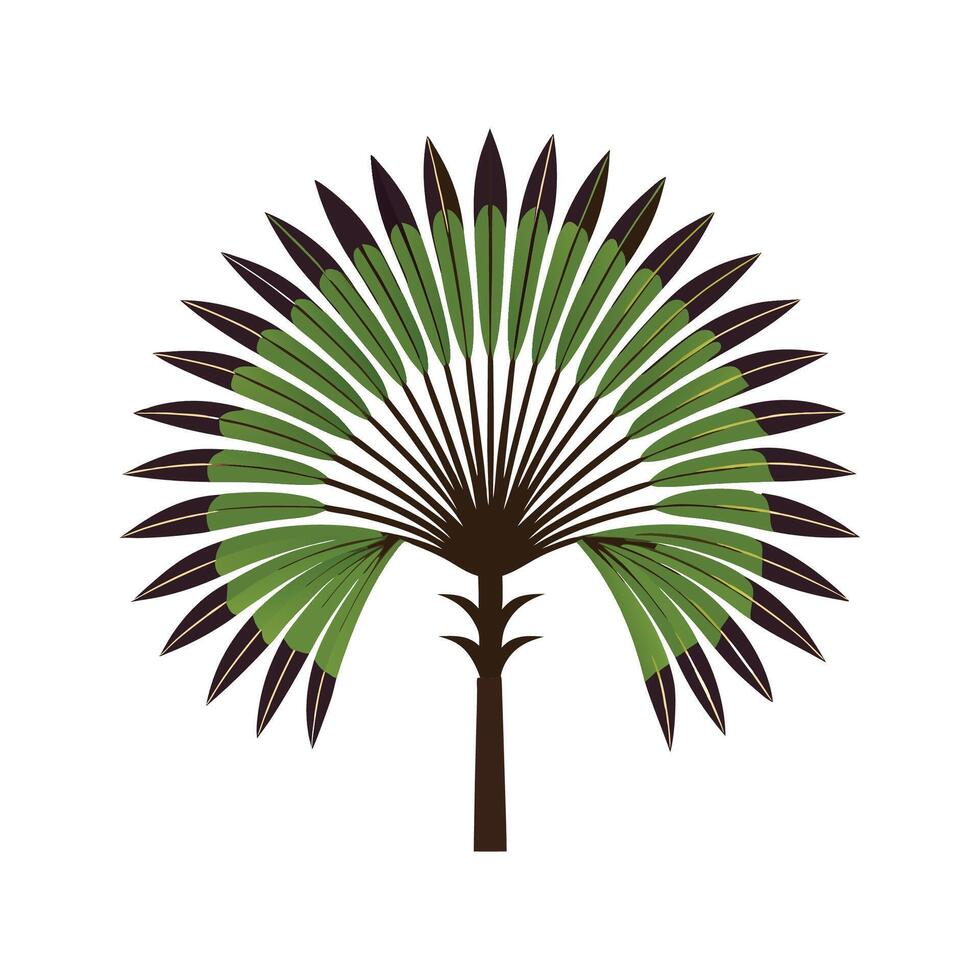 Elegant Japanese Fan Palm Design vector