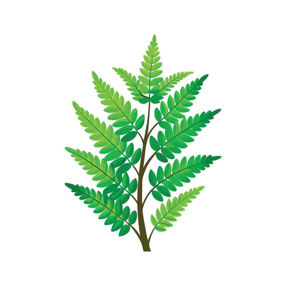 Stunning Japanese Fern Artwork vector