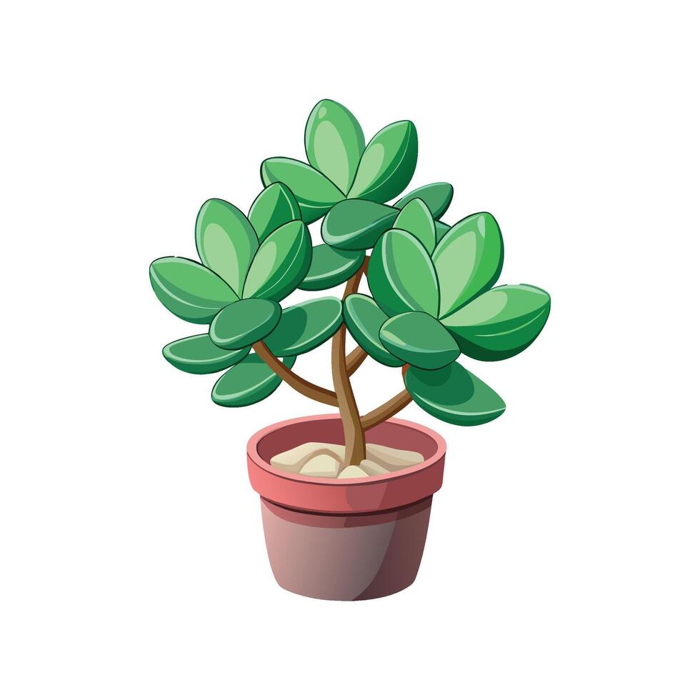 Beautiful Jade Plant Crassula Ovata Artwork vector