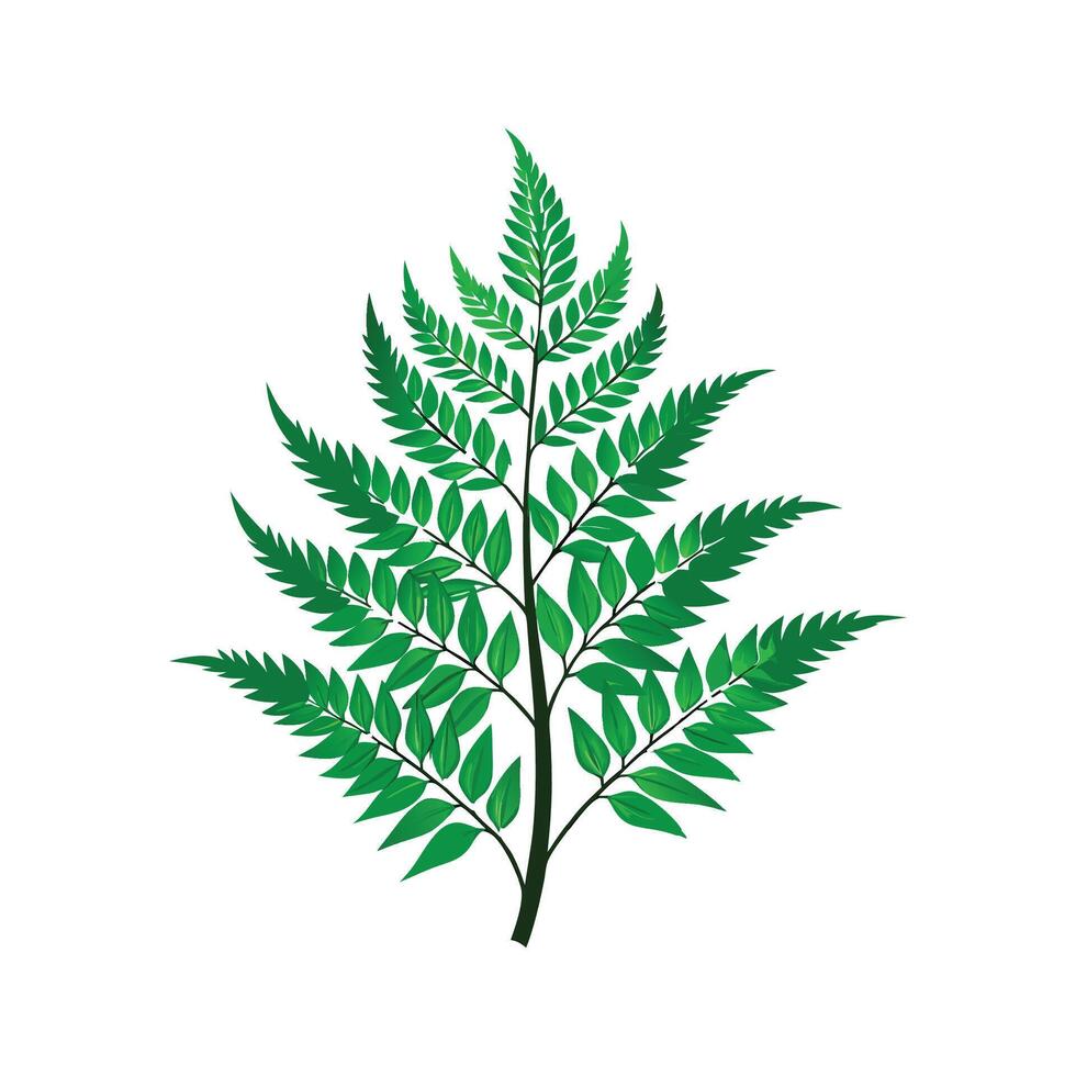Charming Japanese Fern Plant Design vector