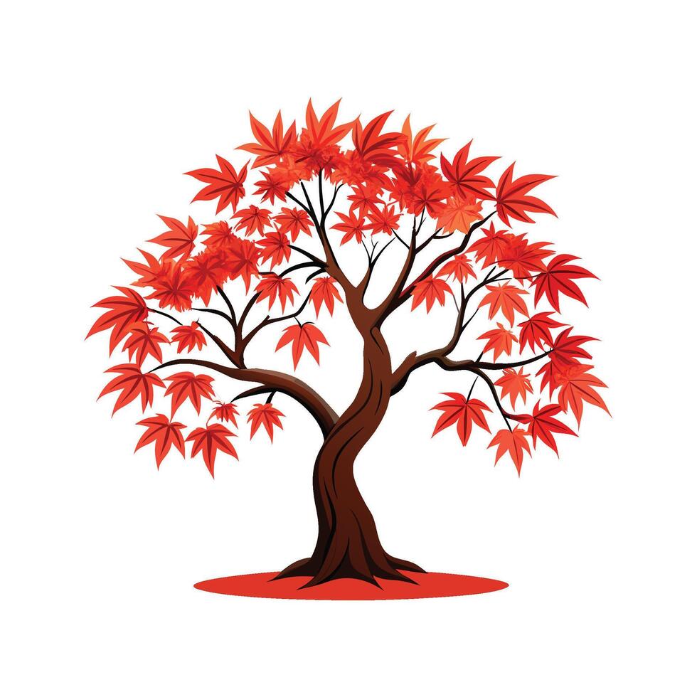 Elegant Japanese Maple Acer Palmatum Artwork vector
