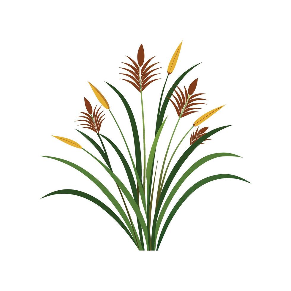 Elegant Japanese Sedge Design vector