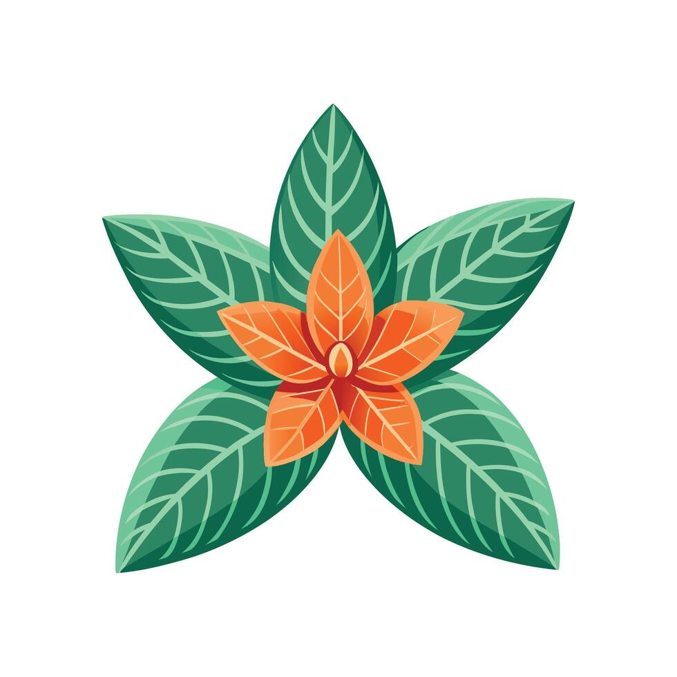 Beautiful Jewel Orchid Illustration vector