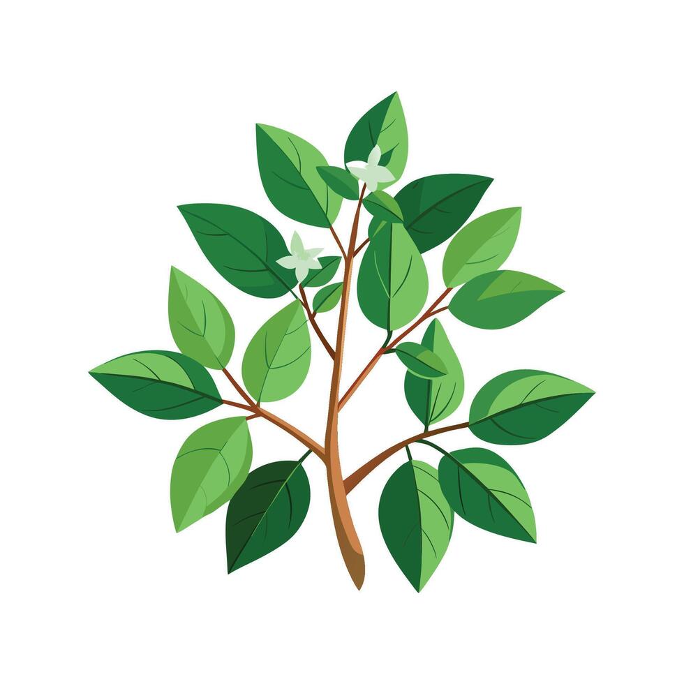 Stunning Karamu Coprosma Artwork vector