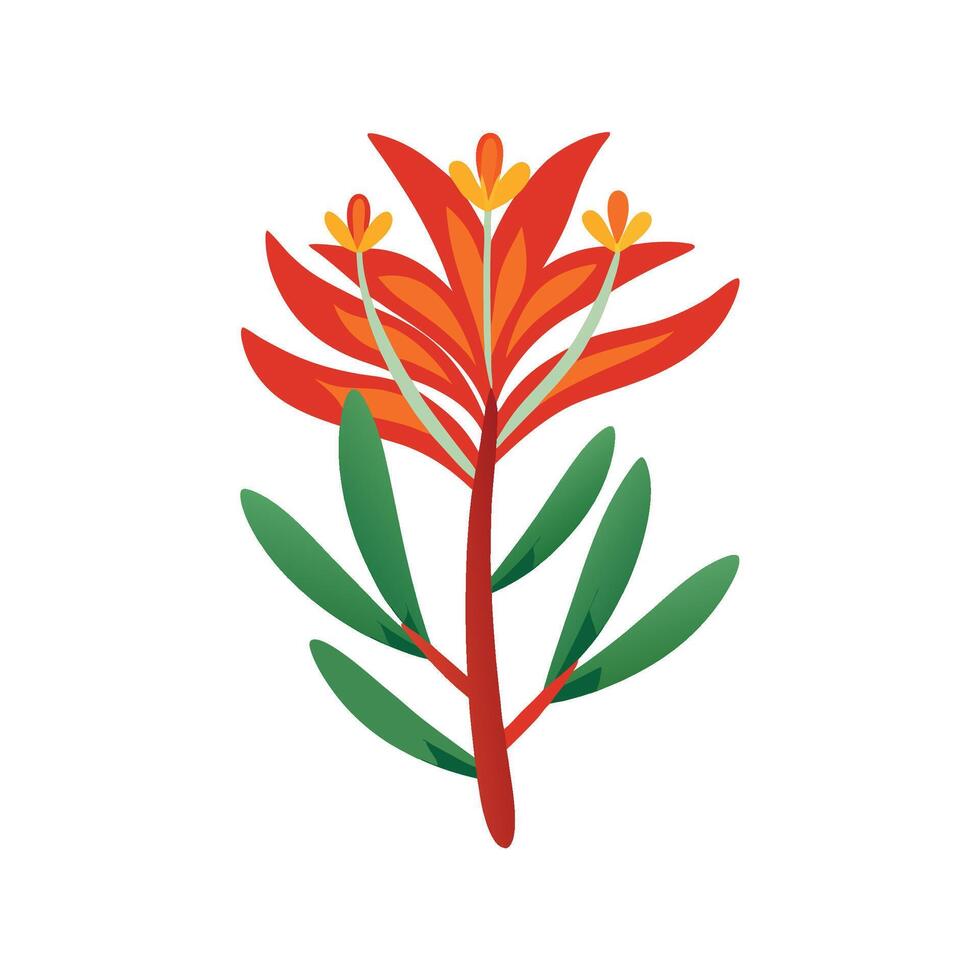 Stunning Kangaroo Paw Plant Illustration vector