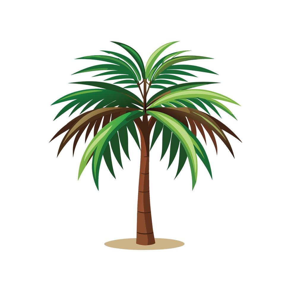 Lovely Kentia Palm Howea Forsteriana Design vector