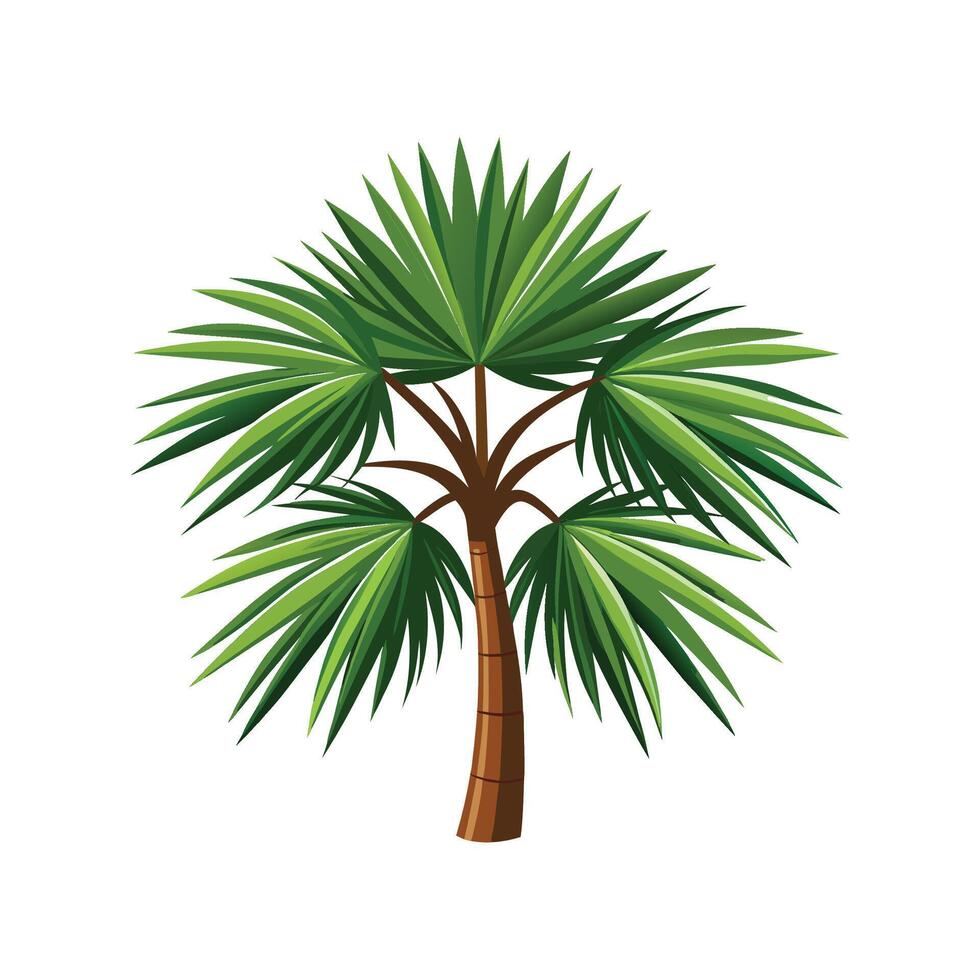 Elegant Kentia Palm Howea Forsteriana Plant Design vector