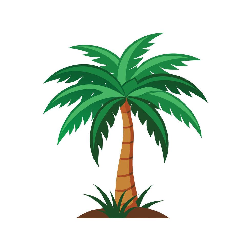 Stunning Lady Palm Artwork vector