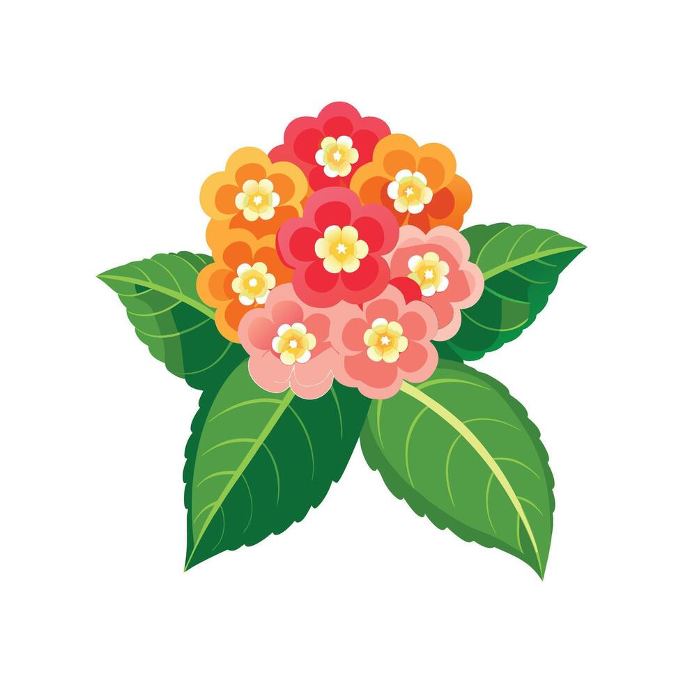 Lovely Lantana Plant Design vector