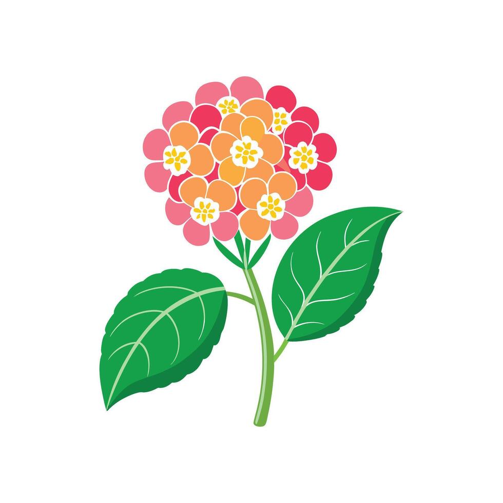 Stunning Lantana Plant Artwork vector
