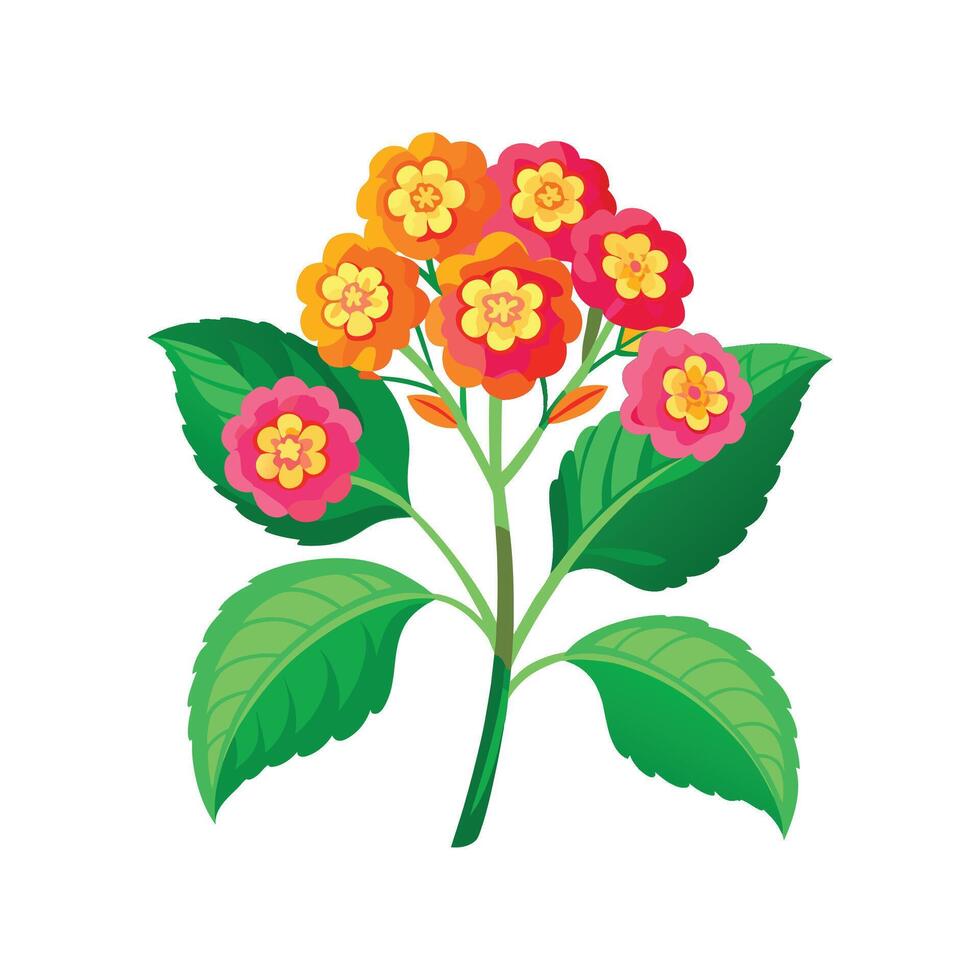 Stunning Lantana Plant Design vector