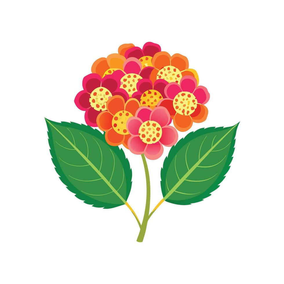 Charming Lantana Artwork. vector