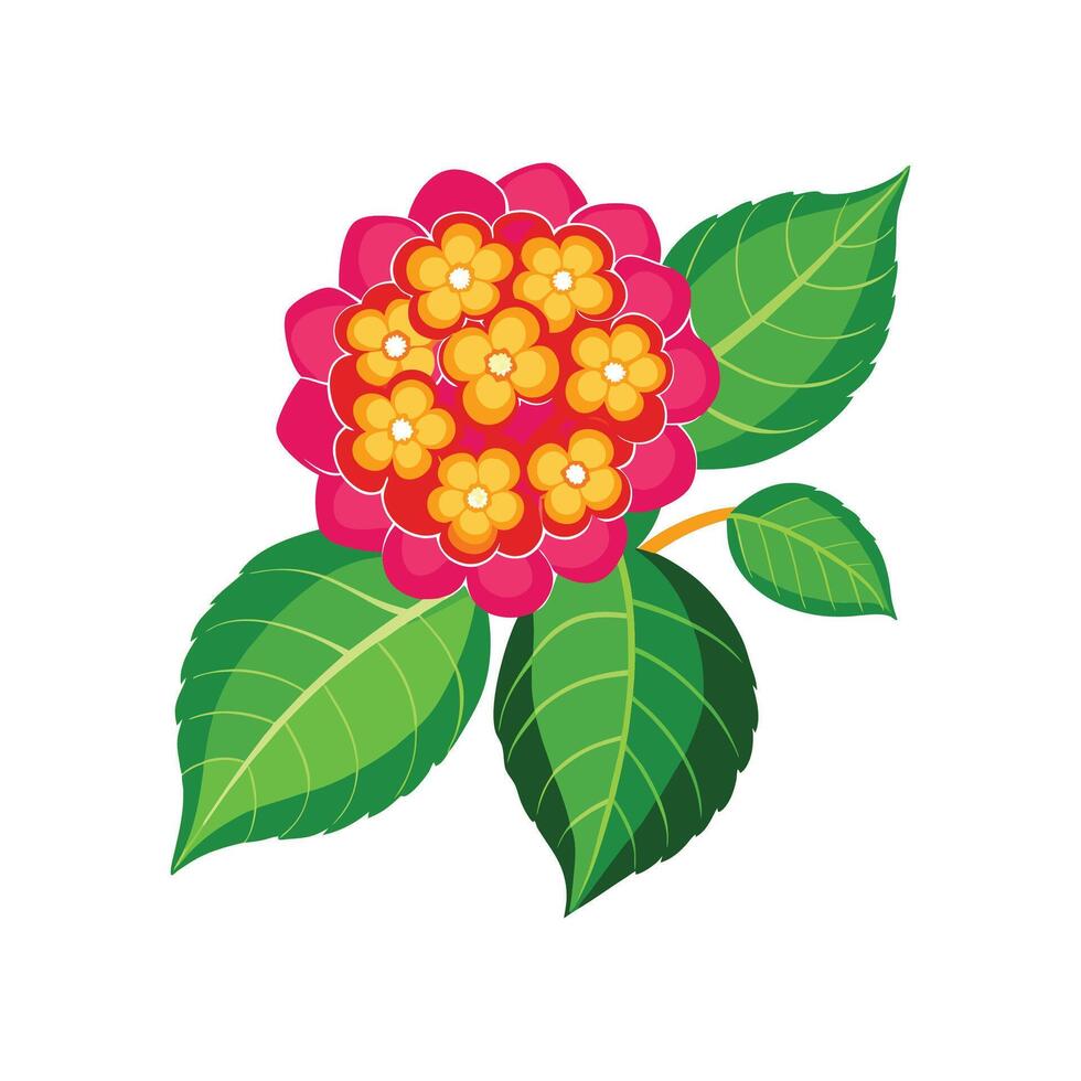 Elegant Lantana Plant Design vector