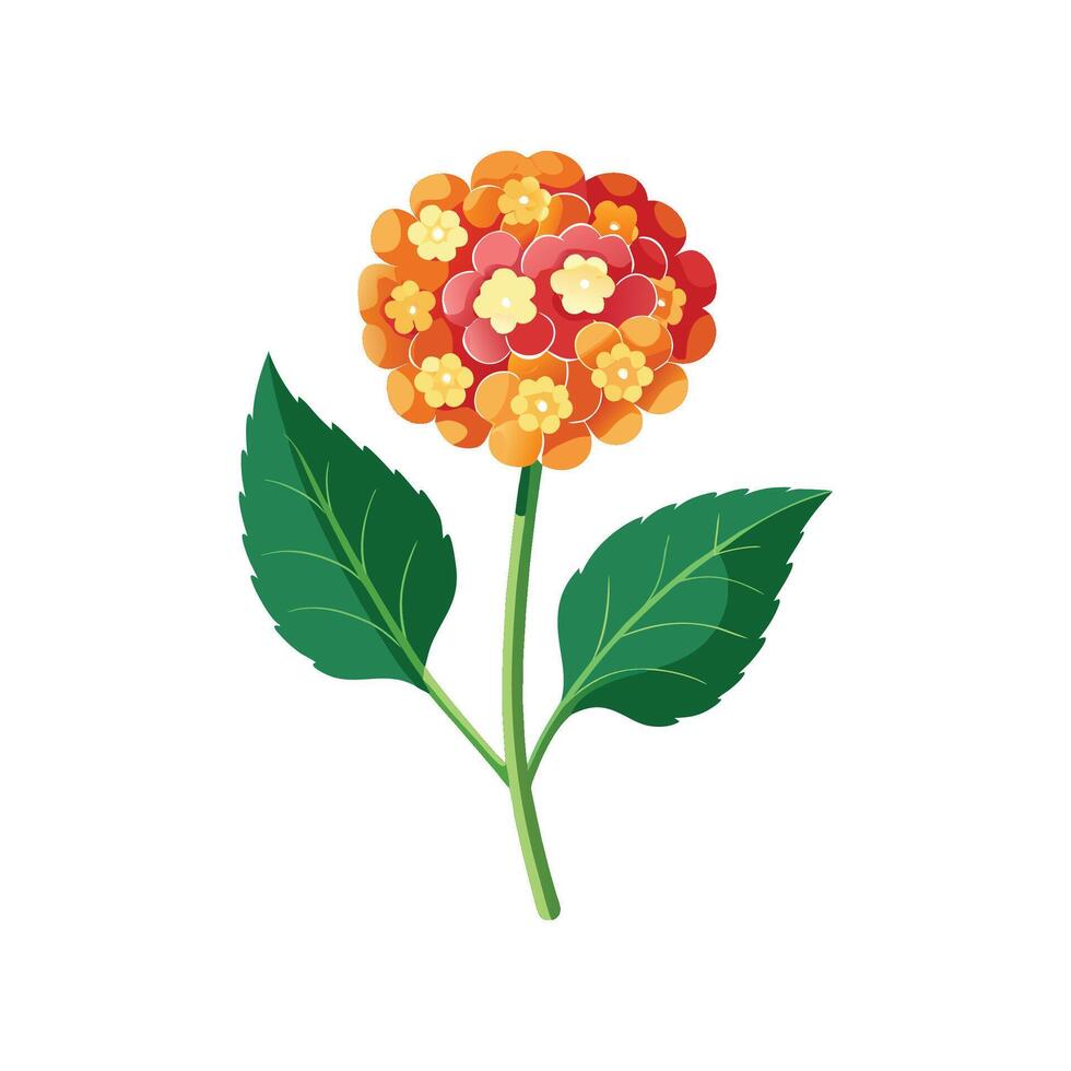 Vibrant Lantana Plant Artwork vector