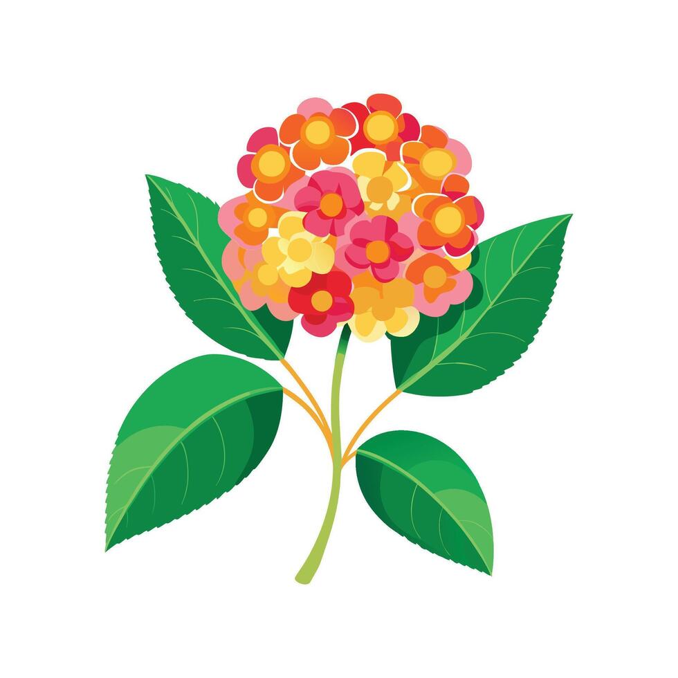 Charming Lantana Plant Illustration vector
