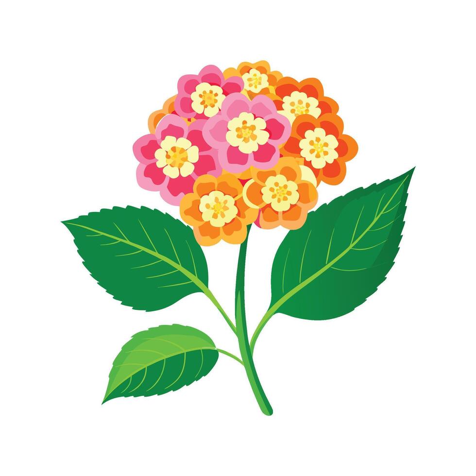 Charming Lantana Artwork vector