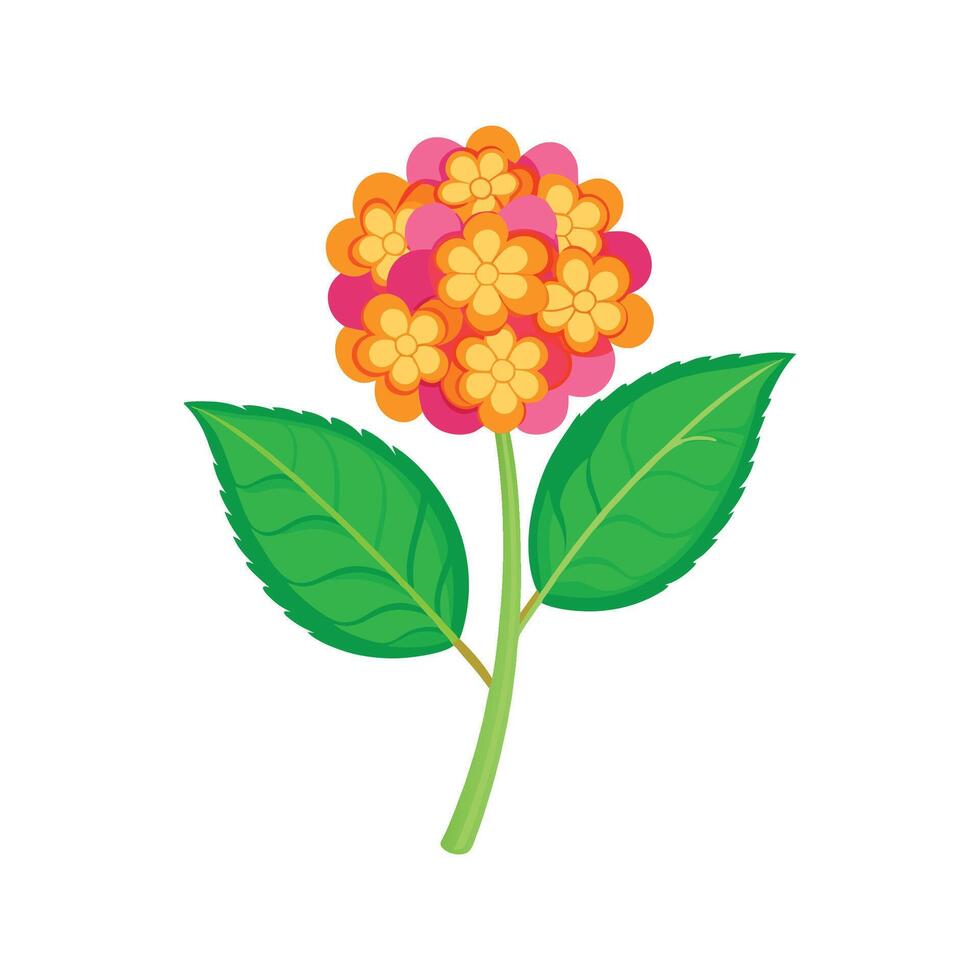 Beautiful Lantana Plant Design vector