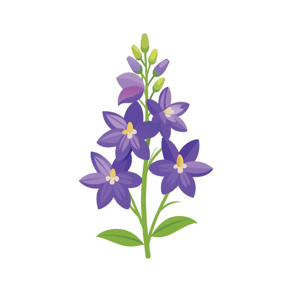 Stunning Larkspur Flower Artwork vector